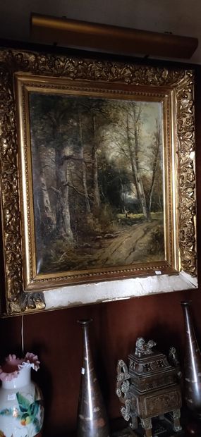 École XIXe siècle

Paysage de sous bois

Toile...