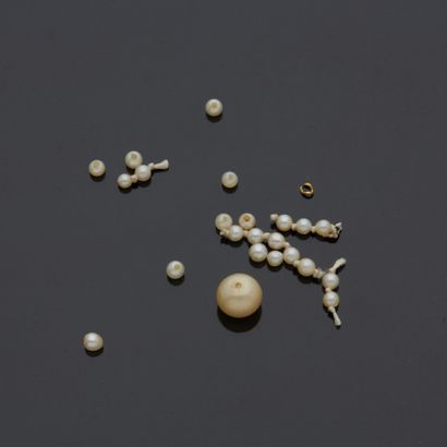 Lot de perles de cuture et une artificielle.

Poids...