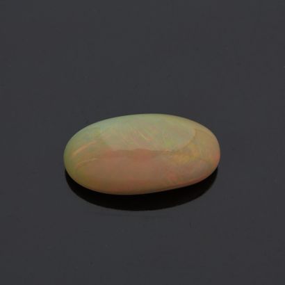 Une opale. Poids environ 30 carats.