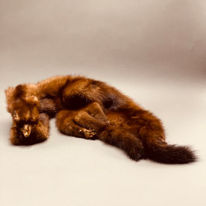Lot of : 

- Two mink scarves

- Fox hat...