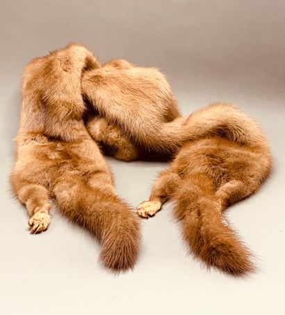 Lot of : 

- Two mink scarves

- Fox hat...