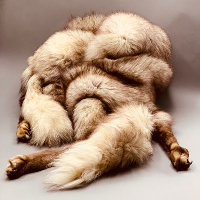 Lot of : 

- Two mink scarves

- Fox hat...