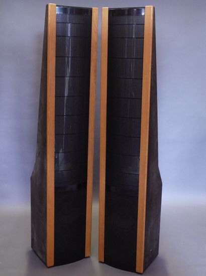 MARTIN LOGAN SEQUEL II de 1989, medium/aigu...