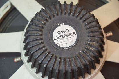 
DEUX Haut-Parleurs GAUSS 8831 8 OHMS de...