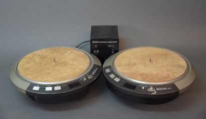 
DENON DP-80




Deux blocs moteurs de platine...