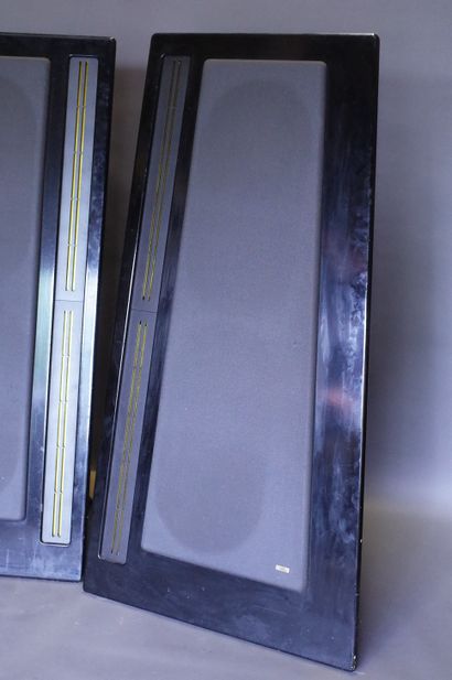 CARVER AMAZING PLATINUM

Exceptionnelles...