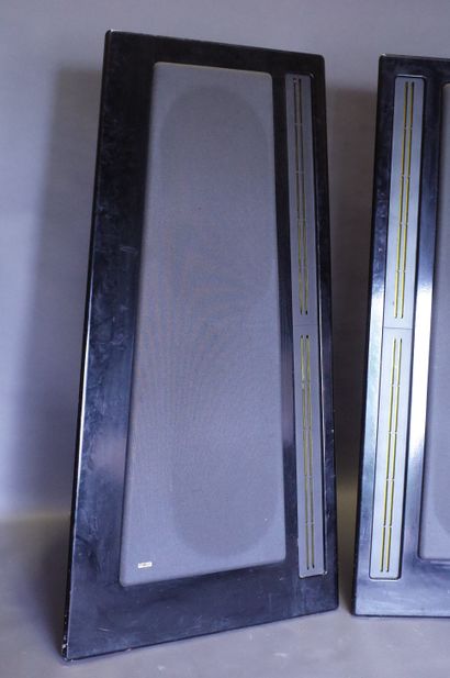 CARVER AMAZING PLATINUM

Exceptionnelles...