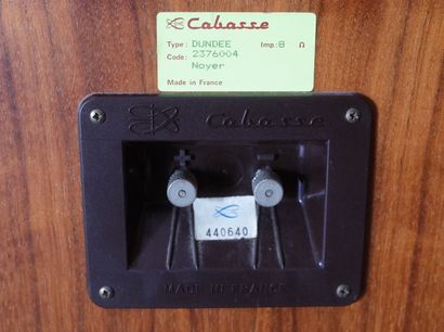 CABASSE DUNDEE enceintes colonnes 2 voies...