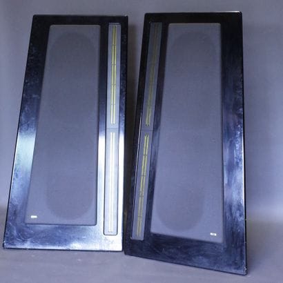 CARVER AMAZING PLATINUM

Exceptionnelles...