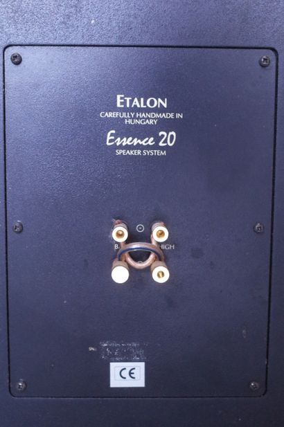 ETALON ESSENCE 20 enceintes colonnes 2 voies...
