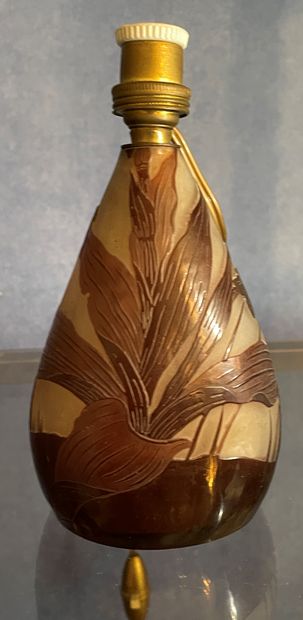 *ETABLISSEMENT GALLE

Vase en verre multicouche...