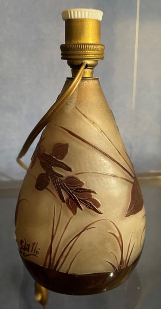 *ETABLISSEMENT GALLE

Vase en verre multicouche...
