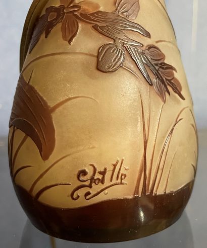 *ETABLISSEMENT GALLE

Vase en verre multicouche...
