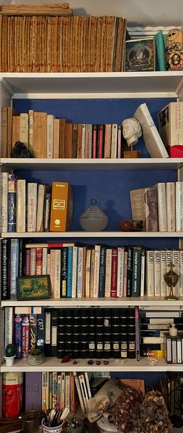 *Lot de livres et romans divers 

(* Vendu...