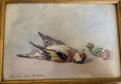 Thérèse SELLIERE COSSE BRISSAC (1867-1937)

The...
