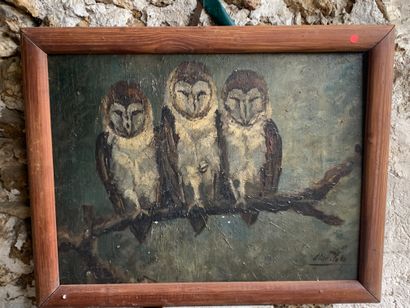 MATO Alex (?)

Three owls connected

Oil...