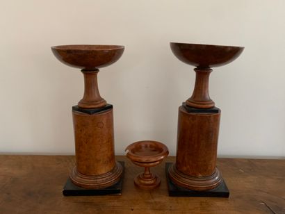Paire de coupes sur colonnes en placage de...