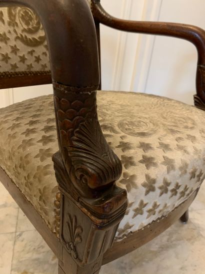 Paire de fauteuils en bois naturel, accotoirs...