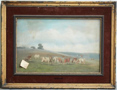 School of the 19th century

Cows in a meadow

Pastel

25...