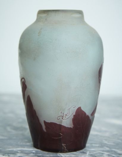 Small vase with acid-etched iris decoration...