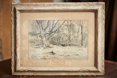 19th century school (de Bellée ?)

Undergrowth

Ink,...
