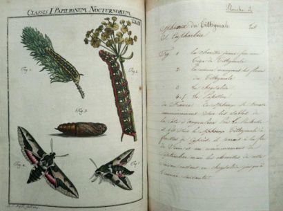 ROESEL VON ROSENHOF (August Johann)
Der monalich-herausgegebenen...