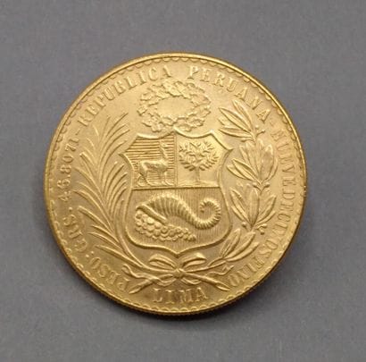 
PEROU




Une pièce de 100 soles or - 1966









Toutes...