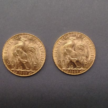
FRANCE




- Deux pièces 20 F or - 1909









Toutes...