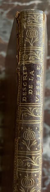Description de la vessie urinaire de l'homme...
