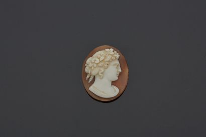 Camée coquille représentant le buste d'une...