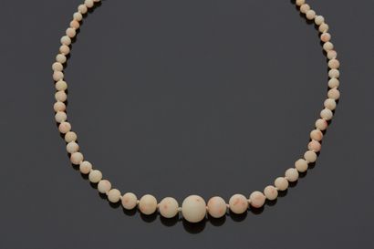 Un collier de perles de corail blanc en chute,...