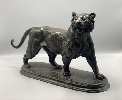 D'après Edouard Paul DELABRIERE

Tigre en...