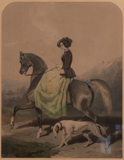 
After Alfred de DREUX




Amazon and her...