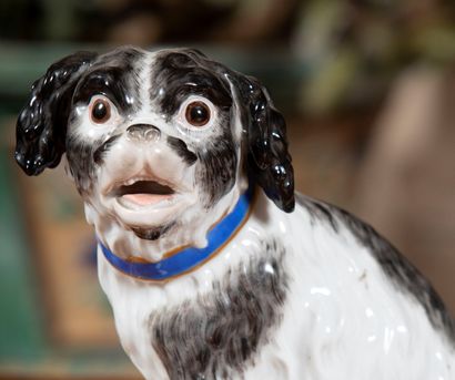 
Porcelain dog with polychrome decoration.




Height...