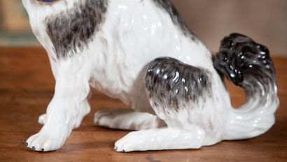 
Porcelain dog with polychrome decoration.




Height...