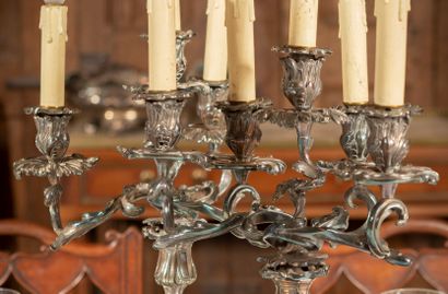 
Pair of candelabras in silver plated bronze...