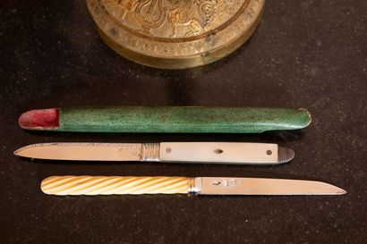 
Two knives, silver blades. 




A stingray...