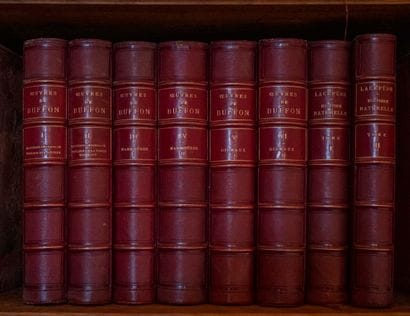 
BUFFON, complete works, 6 volumes. 




2...