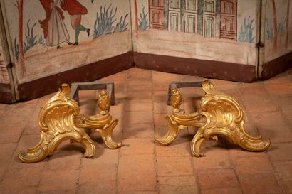 
Pair of ormolu andirons of rocaille form.




Louis...