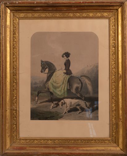 
After Alfred de DREUX




Amazon and her...