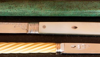 
Two knives, silver blades. 




A stingray...