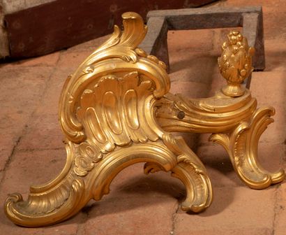 
Pair of ormolu andirons of rocaille form.




Louis...