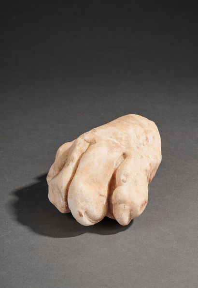 Patte de lion en marbre sculpé.

XVIe ou...