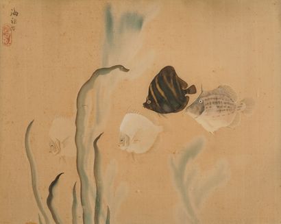 Ecole ASIATIQUE du début du XXe siècle

Poissons...