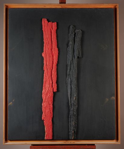 Michel PICOUET, born in 1949

Passion 

Mixed...