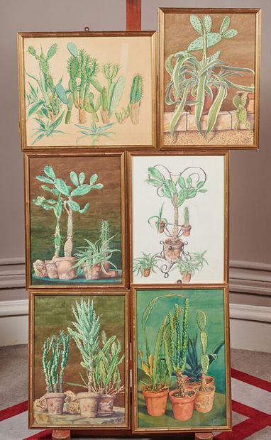 M.LEROY

Cactus

Six watercolors

Size about...