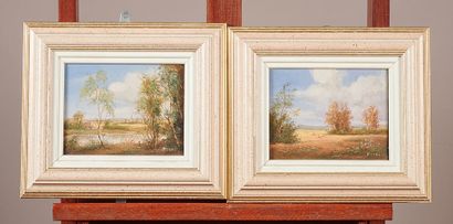RYTEL

Two landscapes

Canvas 

14 x 18 ...