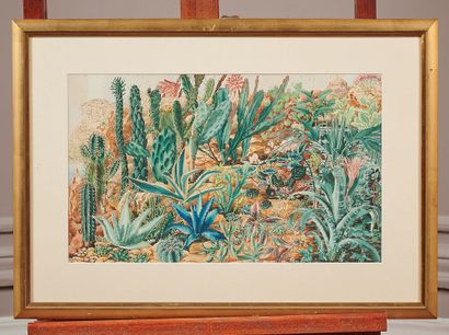 M.LEROY

The plants of the desert

Watercolor,...