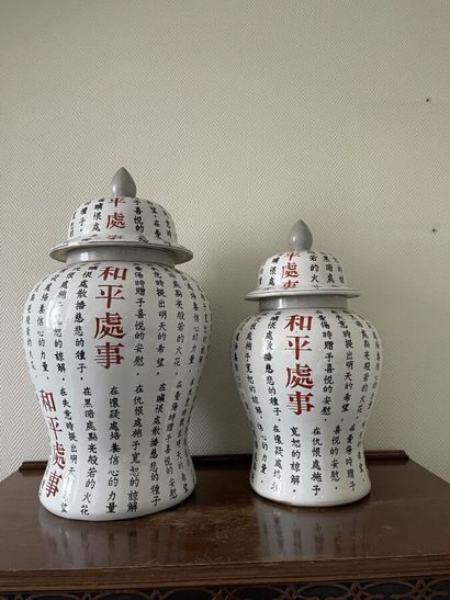 Two porcelain vases decorated with ideograms...