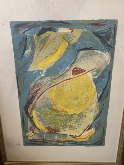 Lot of 16 framed pieces of which lithograpohies...
